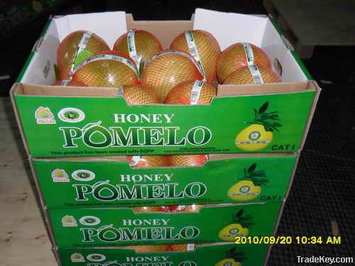 guanxi pomelo