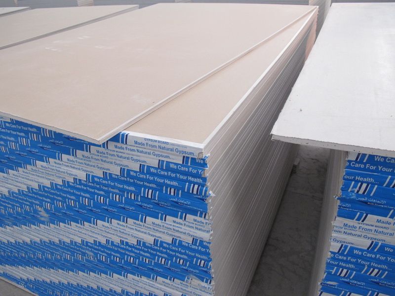 Gypsum board