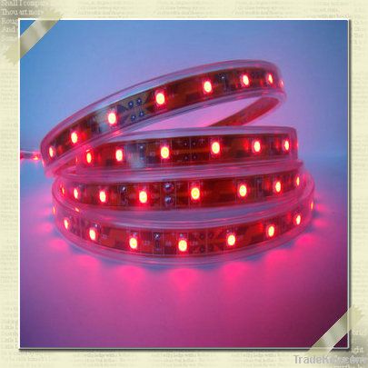 Flexible LED Strips, with 120 Degree Beam Angle