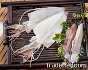 Dried Squid