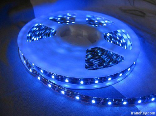 DC12V LED flexible strip