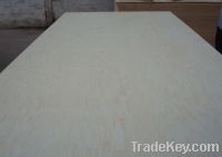 Maple Plywood