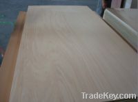 Agathisalba Plywood, Fancy Plywood, Plywood