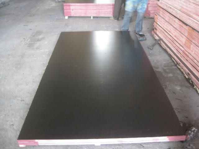 Brown/Black Film Faced Plywood