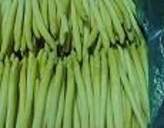 frozen white asparagus spears