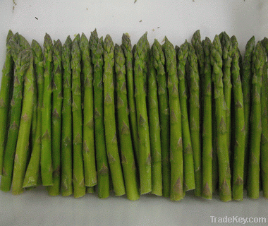 IQF green asparagus