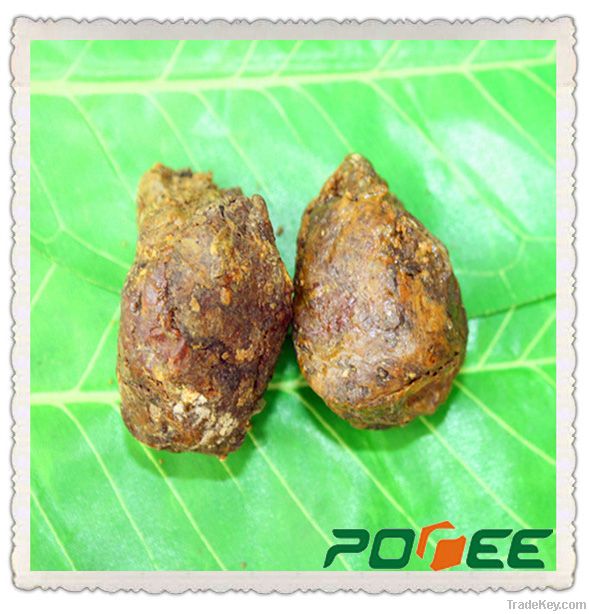 raw propolis