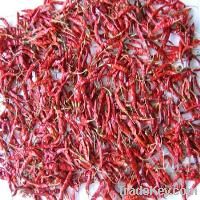 Teja try red chilli
