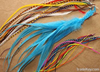 Grizzly Rooster Feathers