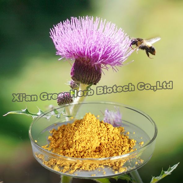 Milk Thistle Extract