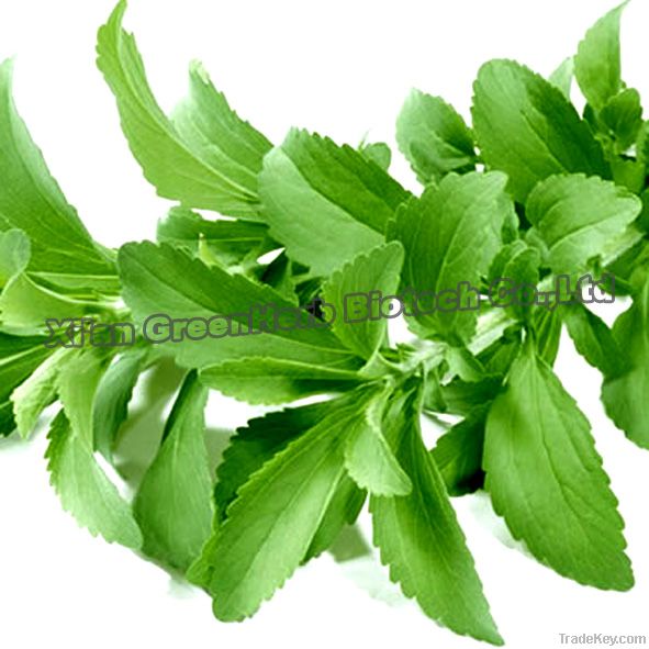 Natural Healthy Supplement Stevia Sweetener