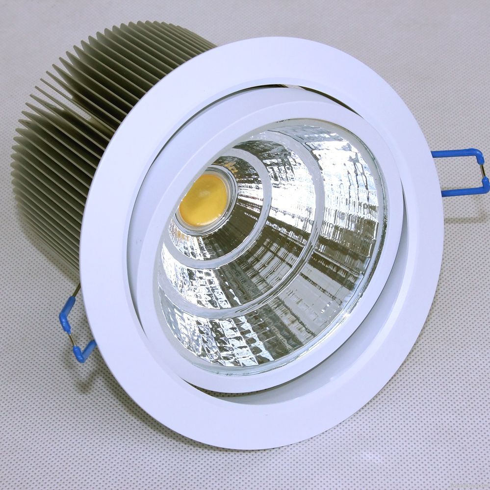 20W COB LED DOWN LIGHT