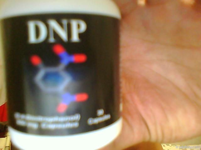 DNP dinitrophenol