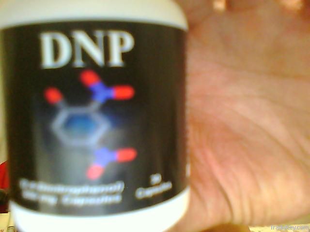DNP dinitrophenol