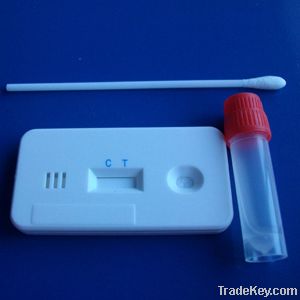 H5 subtype Avian Influenza Virus Ag rapid test kit (veterinary test)