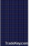 Poly Solar Module (SP654 185W-220W)