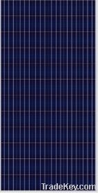 Poly Solar Module (SP660 210W-250W)