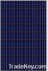 Poly Solar Module (SP636 125W-145W)