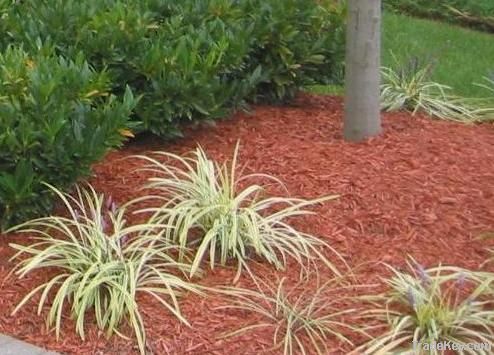 Bark Mulch