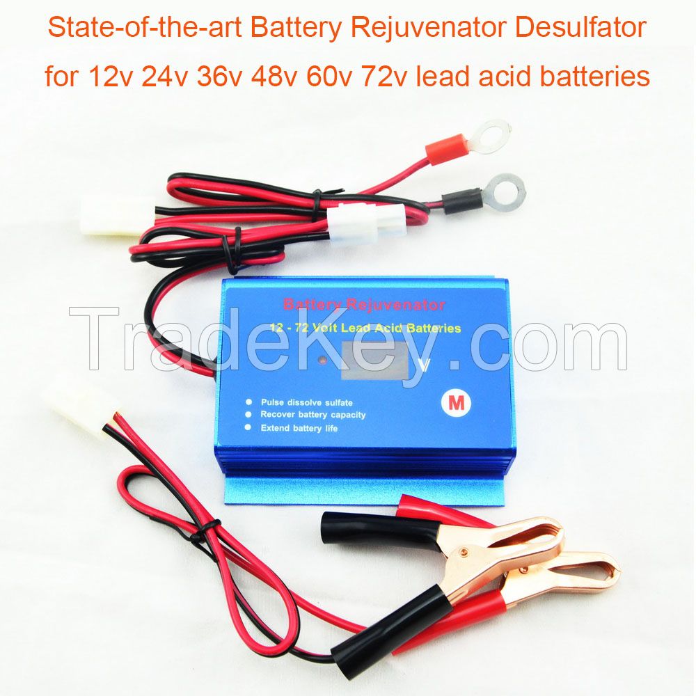 12V 24V 36V 48V 60V 72V battery rejuvenator