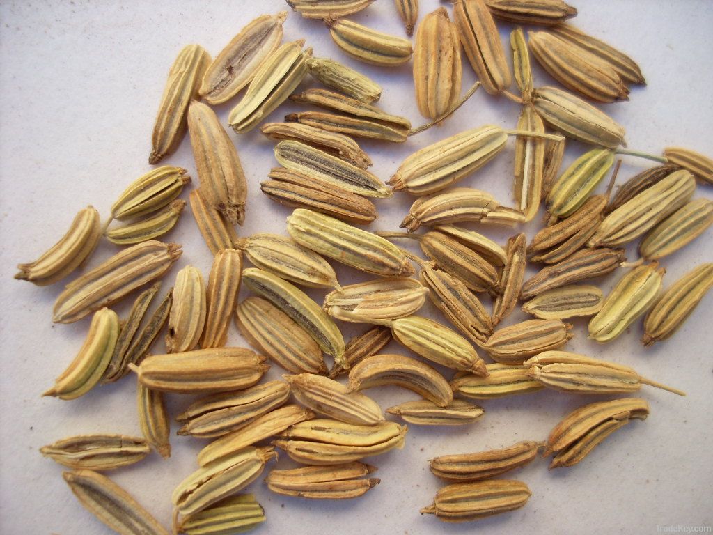 fennel seeds, cummin seeds, spice, spics, cooking spice,