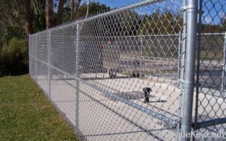 Chain Link Fence