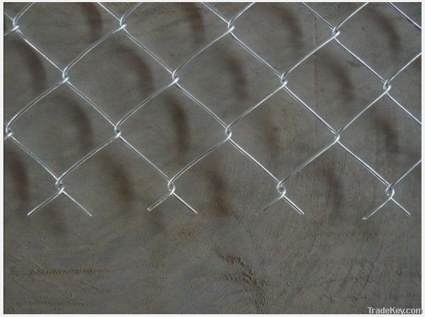 Diamond Wire Mesh/Chian Link Fence/ Rhombic Wire Mesh
