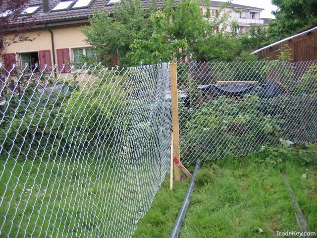 Chain Link Fence