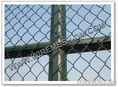 Chain Link Fence