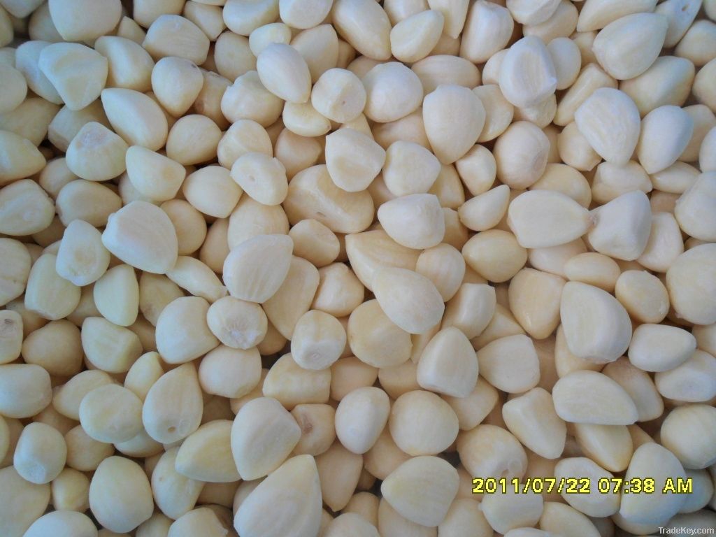 2011 frozen (IQF) peeled garlic cloves