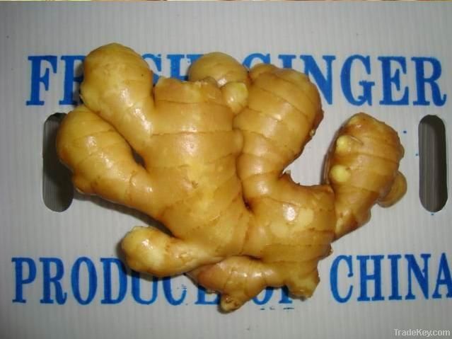 fresh/dry ginger