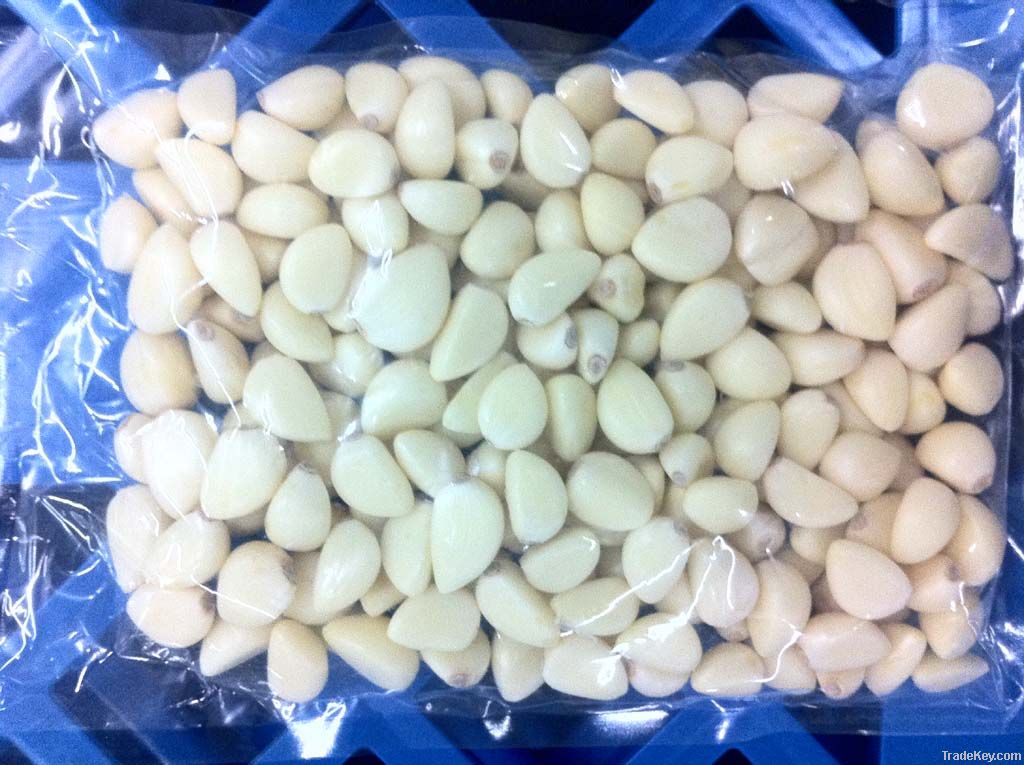 2011 Chinese fresh garlic clove