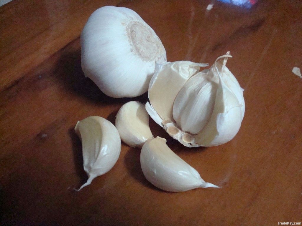 2011 China fresh garlic