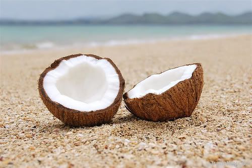 Sweet Coconuts