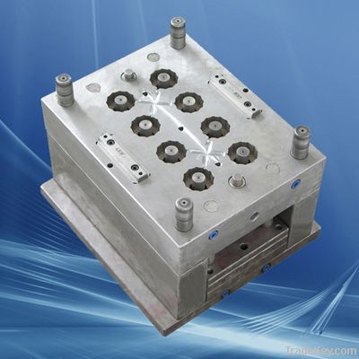 PP-R Mould