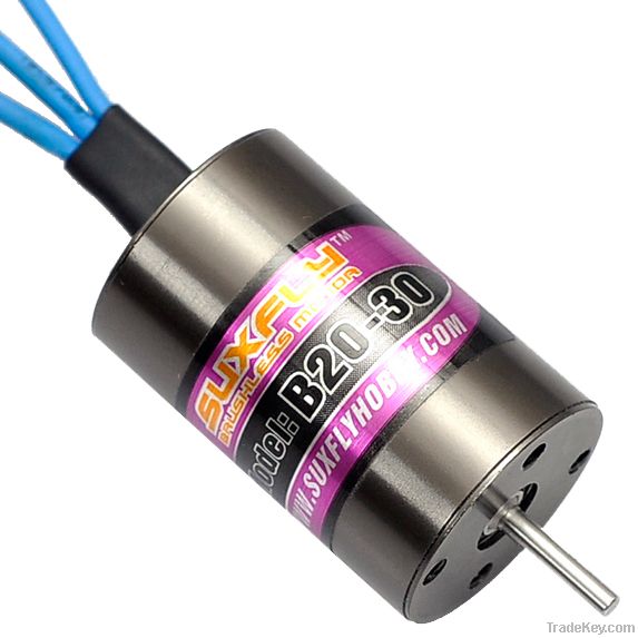 brushless motor 2030