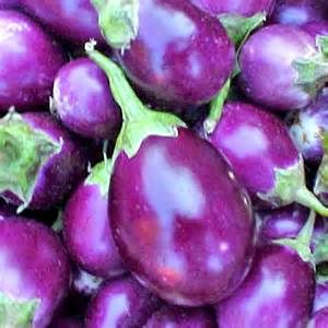 Brinjal