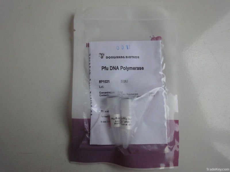 Pfu DNA Polymerase