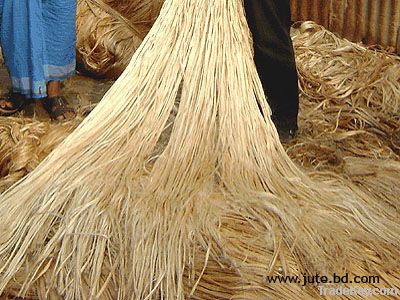 Raw Jute Fibre