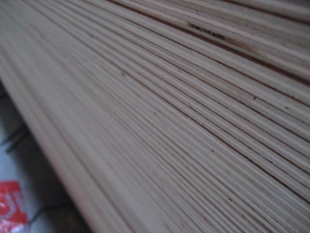 Commercial plywood with 'Indoply' brand