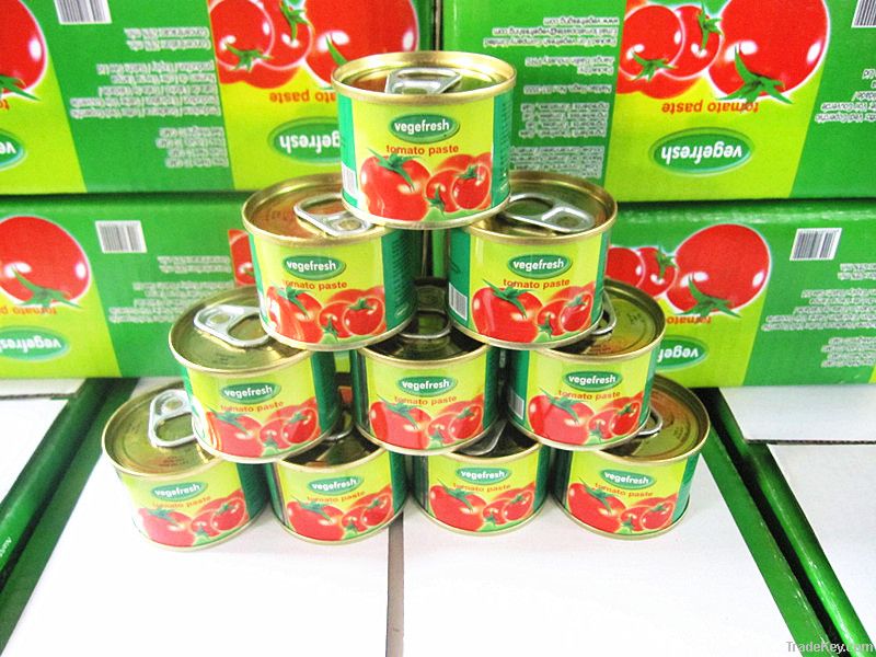 210g canned tomato paste ketchup sauce factory
