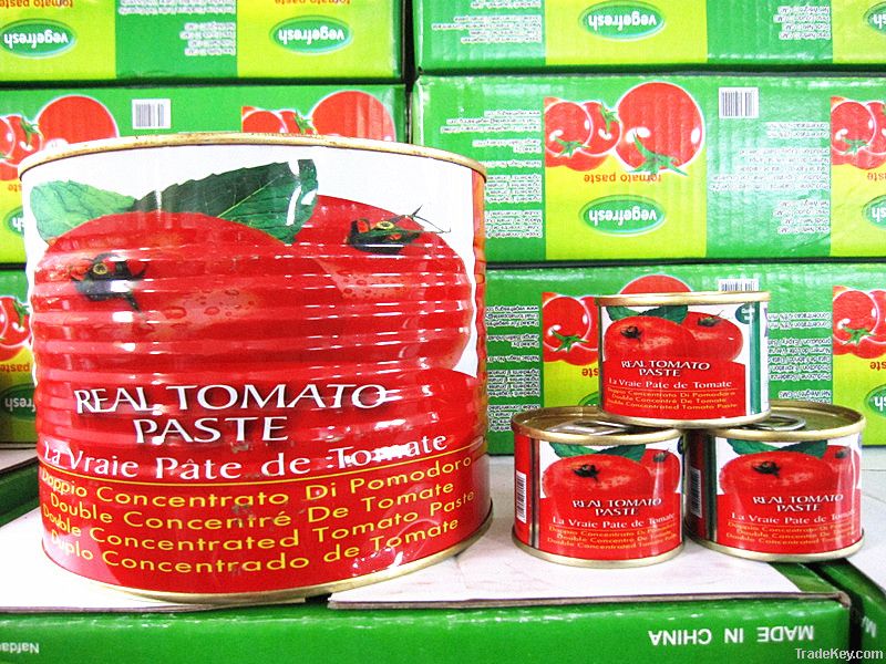 400g canned tomato paste ketchup sauce factory