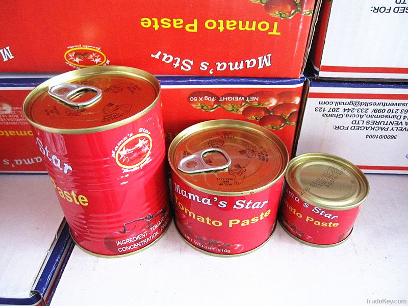 800g canned tomato paste ketchup sauce factory