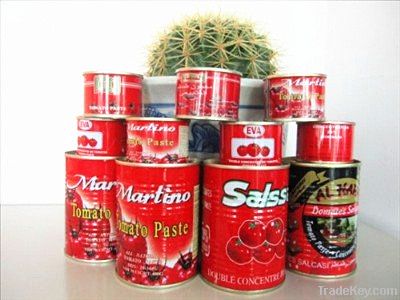 800g canned tomato paste ketchup sauce factory