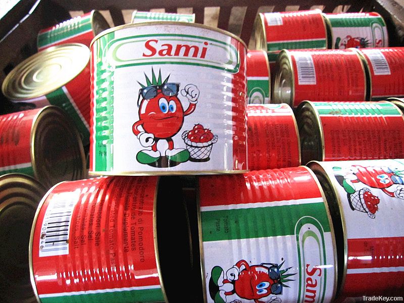850g canned tomato paste ketchup sauce factory