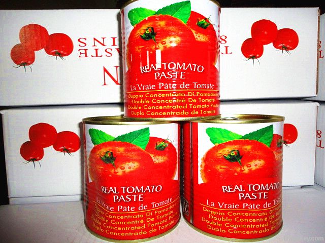 1000g canned tomato paste ketchup sauce factory