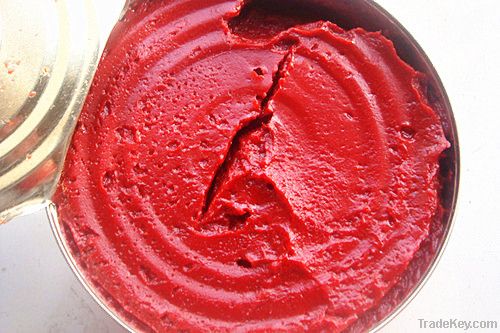 3000g canned tomato paste ketchup sauce factory