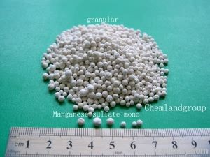 Manganese Sulphate Mono( 5-10 mesh )