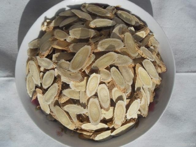 Astragalus