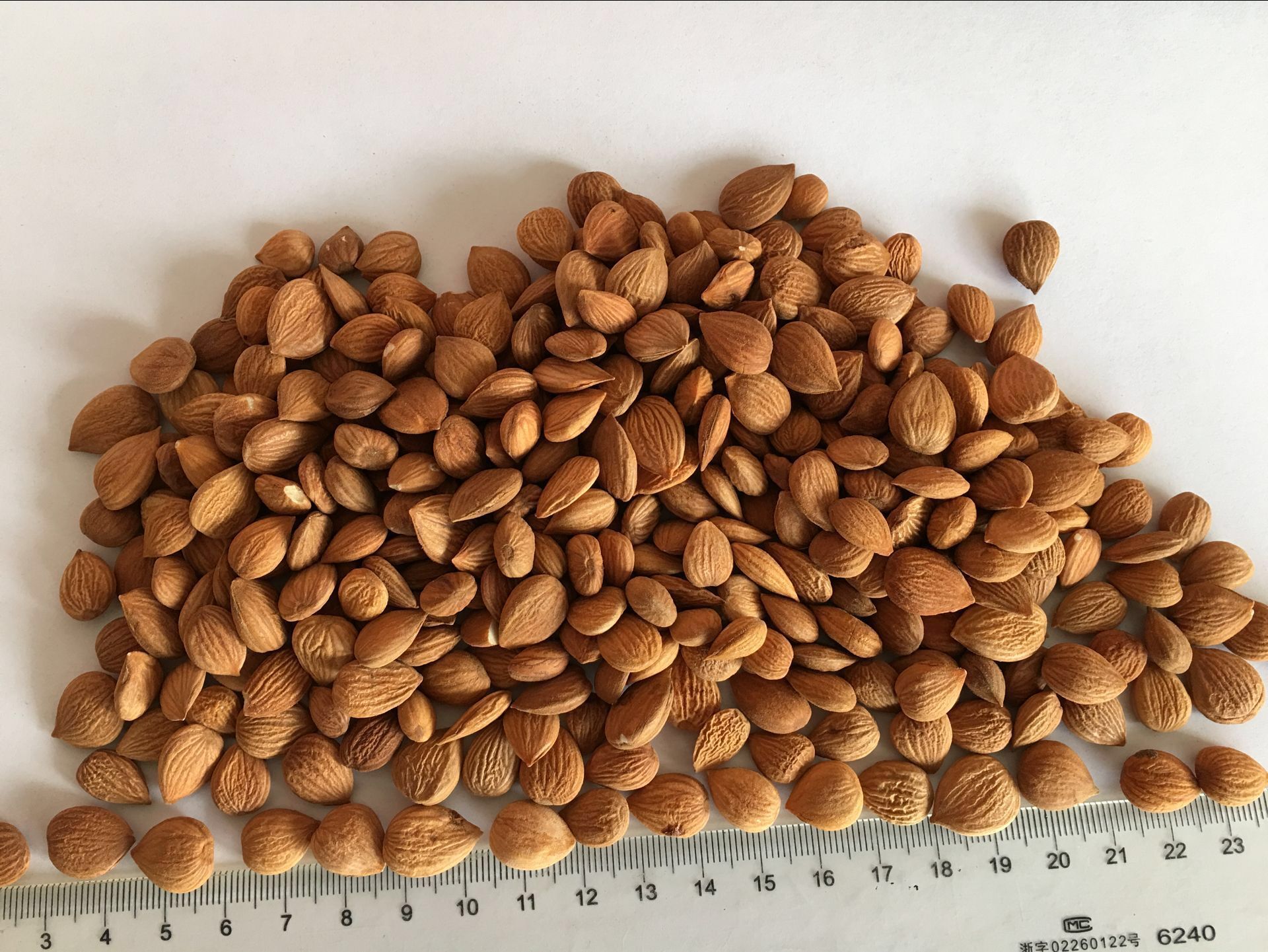 Bitter apricot kernels